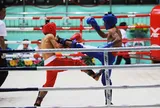 Môn Kickboxing tại SEA Games 31 sẽ có nhiều thay đổi trong thi đấu